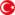 Türkçe
